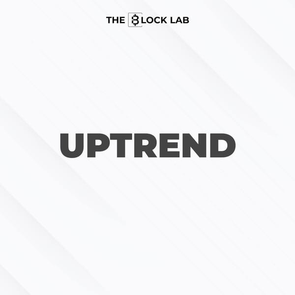 Các Quỹ Lớn Vội Vàng Nhập Hàng và M&A: Uptrend đây rồi!